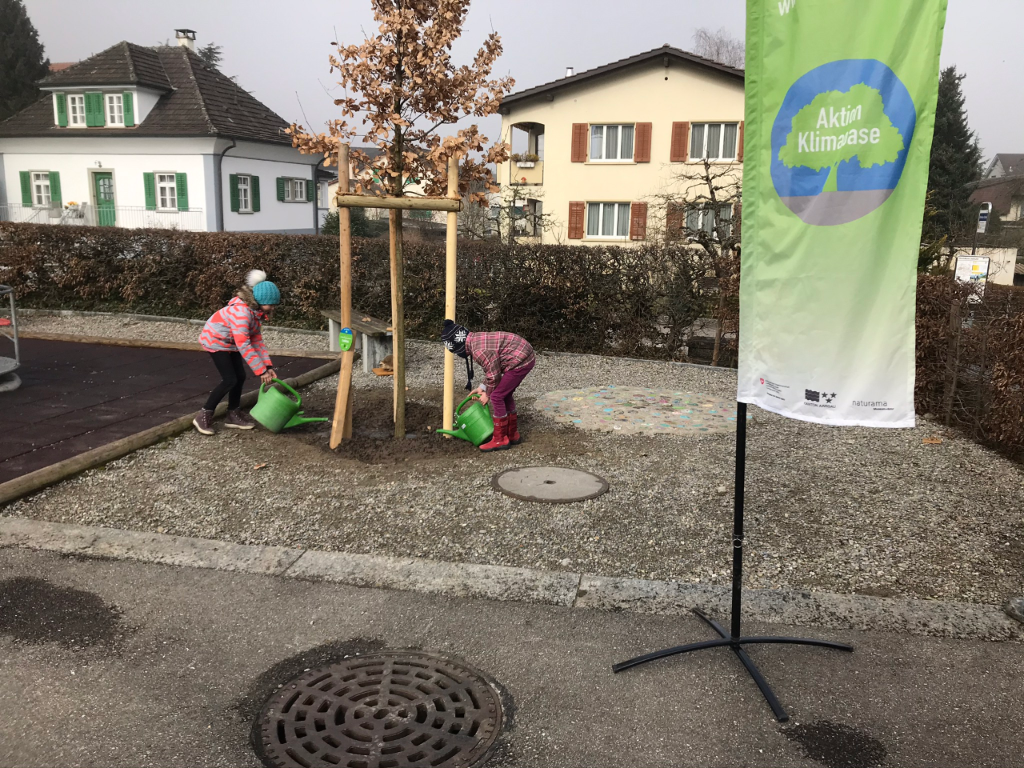 Deux enfants arrosant un arbre nouvellement planté